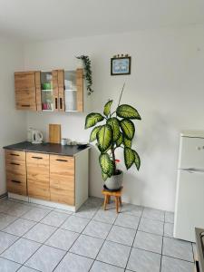 Ratuszowe Serce Miasta