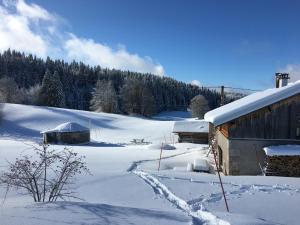 Séjours nature et bien être en YOURTE