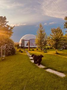 Glamping Stacja Zieleniec w Nałęczowie
