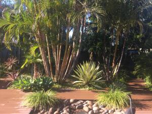 Tranquility Near The Lake