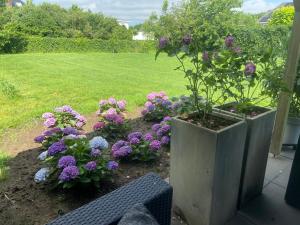 B&B nancy in holland met eigen badkamer , Jacuzzi niet inclusief , independent bathroom jacuzzi not included