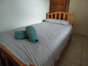 Smallest birds HAVEN