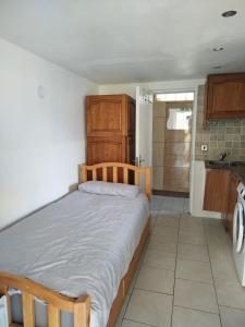 Smallest birds HAVEN