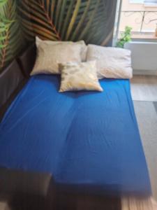 Appartements Bulle tropicale jungle : photos des chambres