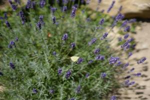 Santolina Etrusca Bed and Breakfast, Sauna, Hammam, Jacuzzi