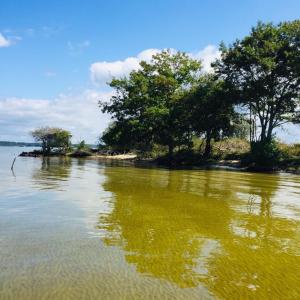 Maisons de vacances Maison chaleureuse dans les Landes a 2 min du lac et 15 min de Plage : photos des chambres