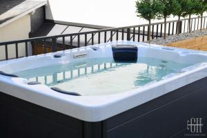 Villas Villa Michelet - Jacuzzi - Sauna - Hyper Center : photos des chambres