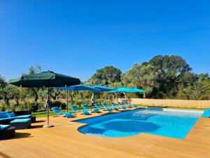 ClickSardegna Villa Lucilla with swimming pool in olive groves