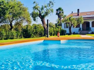 ClickSardegna Villa Lucilla with swimming pool in olive groves