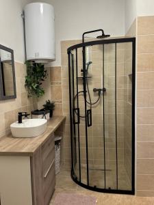 Apartman Classy Pécs