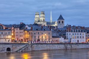 Appartements Lumineux et spacieux T3 au coeur d-Orleans : photos des chambres