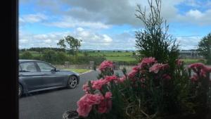 Homestay Large Ensuite Room