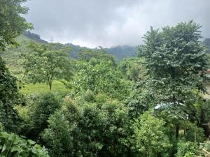 Beltar valley homestay