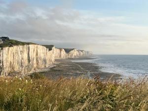 Appartements Le trait de cote vue mer commerces et plage a pied : photos des chambres