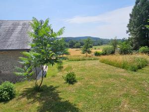 B&B / Chambres d'hotes Aux Grandes Rivieres : photos des chambres