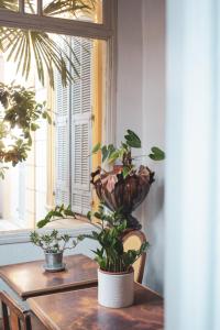 Hotels Hotel Belle Meuniere : photos des chambres