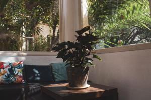 Hotels Hotel Belle Meuniere : photos des chambres