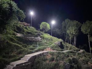 Anubhuti Palampur