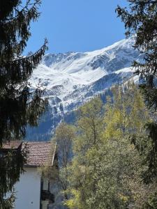 Exclusive Glacier View Apartment 1-4 Pers