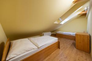 Down Town Apartment with Garden