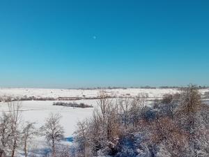 Apartment Ivan & Iva