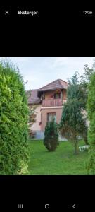 Apartment Ivan & Iva