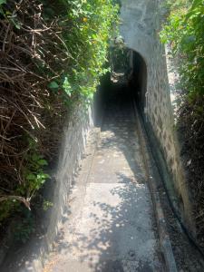 CASAMARINA appartamento frontemare con piscina