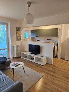 1 bedroom flat full of sun