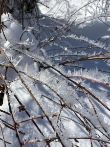 雪の光 白馬 Yukino Hikari Hakuba -