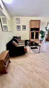 NeriesApartment No.1 Holidays By J. Basanaviciaus