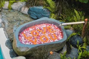 Bamboo Oasis - Casa Koko, Konubi