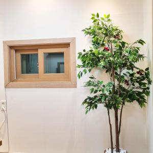 Forest Sillim - private room