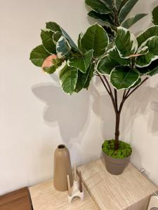 Apartment mit 2 Schlafzimmern
