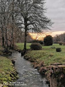 Les nuits étoilées du moulin petit déjeuner inclus