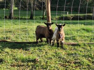 Les nuits étoilées du moulin petit déjeuner inclus