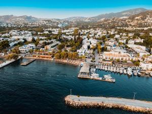 Casa Colore Boutique House