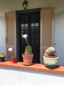 La casa di Alide