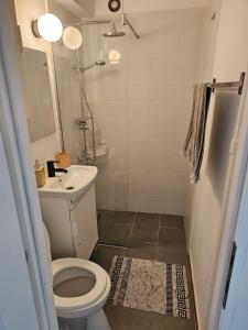 1 bedroom flat full of sun