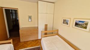 Apartment Ajdna