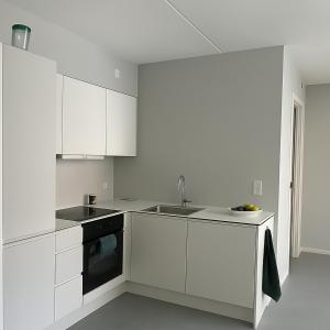 JG-Central Apartment Odense C