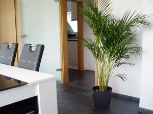 La Domus Premium Osnabrück Lotte