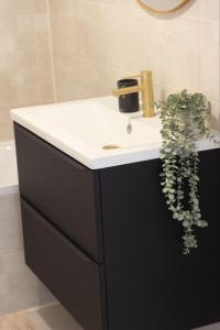 Appartements Studio vue mer clim plage aeroport Nice centre commercial centre affaires Nice Arenas emplacement excellent : photos des chambres