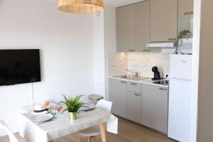Appartements Studio vue mer clim plage aeroport Nice centre commercial centre affaires Nice Arenas emplacement excellent : photos des chambres