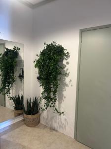 The mint