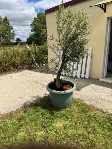 La villa Lambert - Le Loft