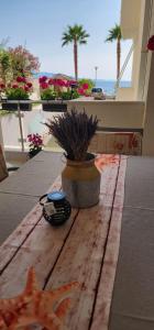 Albania Dream Holidays Accommodation