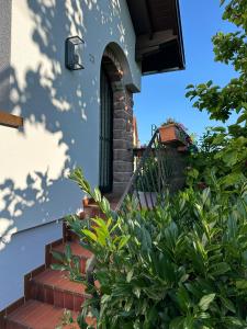 Appartements Villa Schmitt : photos des chambres