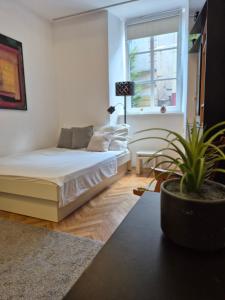 Ritual Studio City Center