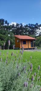 Pousada Morro dos Pinhais