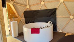 Tiny Dôme & Balnéothérapie